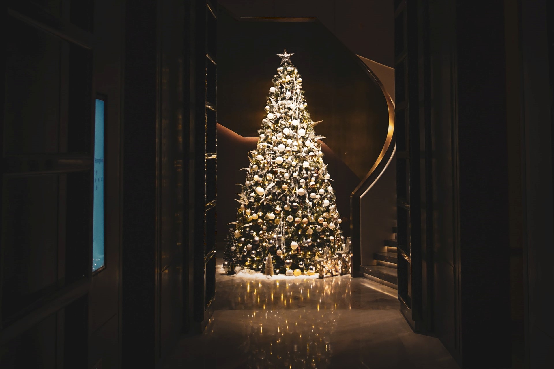 History of the Christmas Tree Christmas Traditions Just Love Christmas