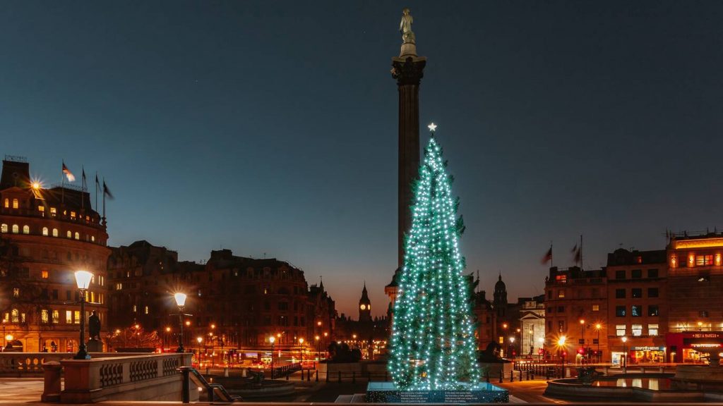 Trafalgar Square Christmas Tree at night